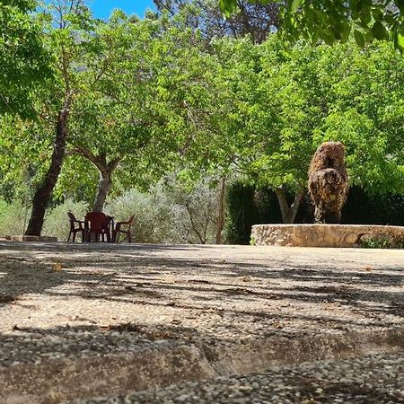 Alojamiento Turístico El Pantano de Cazorla Coto Ríos Exterior foto
