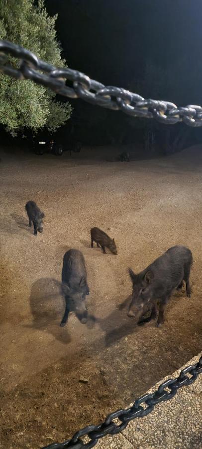 Alojamiento Turístico El Pantano de Cazorla Coto Ríos Exterior foto